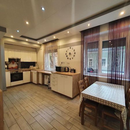 Ferienwohnung Viola Apartman With Infra Sauna Szegedin Exterior foto